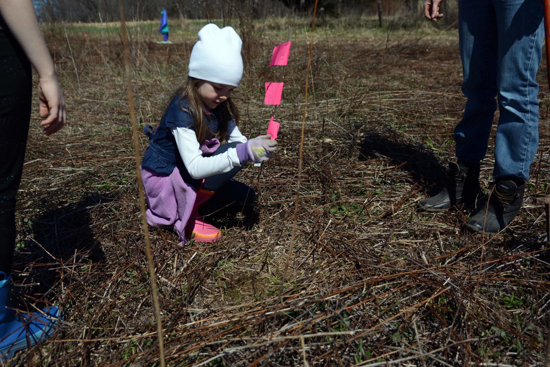 Earth Day tree planting in Baraboo Hills, April 20